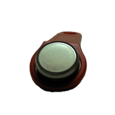 ibutton 